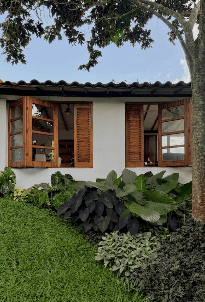 Paisajismo — Adentro Studio